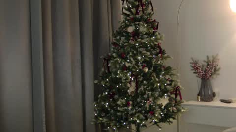 Snapshot of wellicaren chatting on 01/08/25, 12:47 CAREN online show from 01/08/25, 12:47