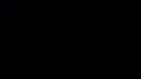 wellingtont online show from 09/21/25, 04:36