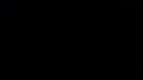 wellingtont online show from 11/26/25, 04:52