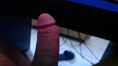 wellingtont online show from 04/04/26, 05:38