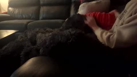 Snapshot of wellocal chatting on 12/21/25, 08:05 wellocal online show from 12/21/25, 08:05