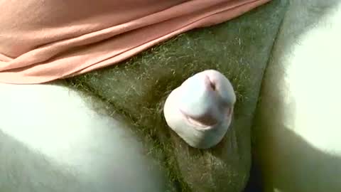 welshstuds online show from 09/30/25, 11:59