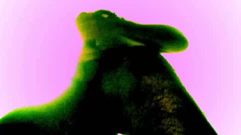 whatsexo online show from 02/28/25, 12:54