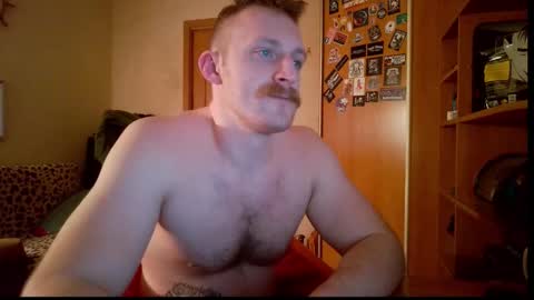 Snapshot of whitebull97 chatting on 02/08/26, 06:11 WhiteBull online show from 02/08/26, 06:11