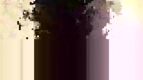whitedood432 online show from 11/28/25, 12:19