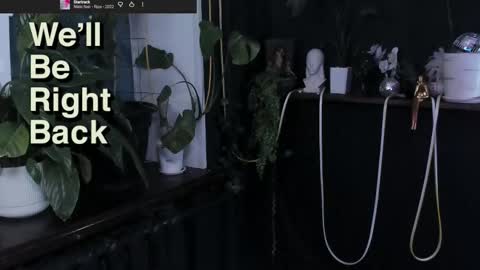 Gus online show from 12/21/25, 08:49