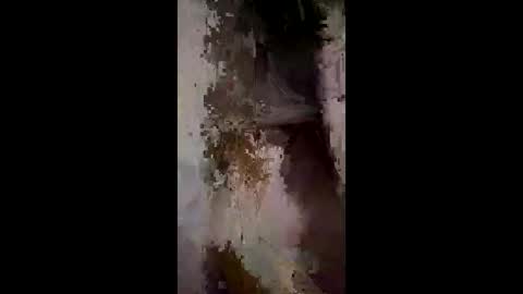 Snapshot of whitelava_4u chatting on 12/02/25, 03:01 whitelava_4u online show from 12/02/25, 03:01