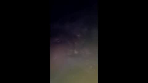 whiteoak19522 online show from 03/24/26, 09:58