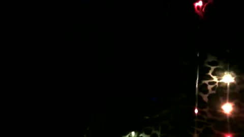 whor4mor online show from 02/25/26, 03:21