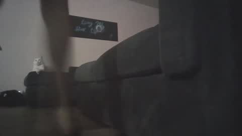 Snapshot of whosten0 chatting on 12/01/25, 04:17 whosten0 online show from 12/01/25, 04:17