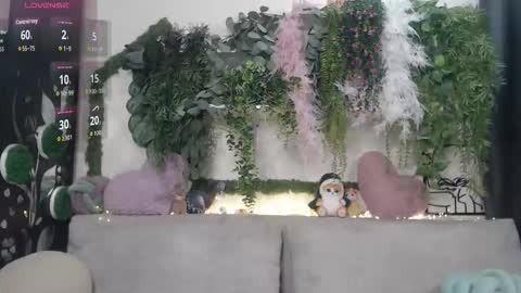 wiagra online show from 12/23/25, 09:07