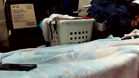 Snapshot of wife_phucker69 chatting on 10/20/25, 12:16 Ryder Harder online show from 10/20/25, 12:16