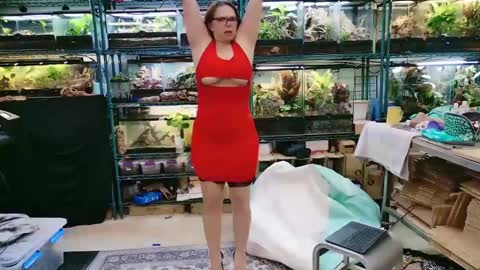 WifeNheels online show from 04/26/26, 10:07