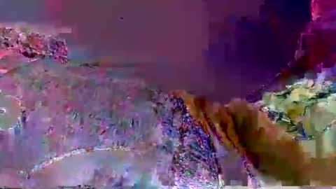 wild lemont online show from 09/29/25, 12:21