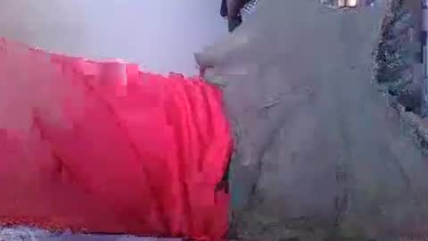 wild lemont online show from 10/08/25, 08:23