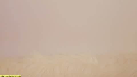 wild_schoolgirl online show from 01/13/25, 10:24