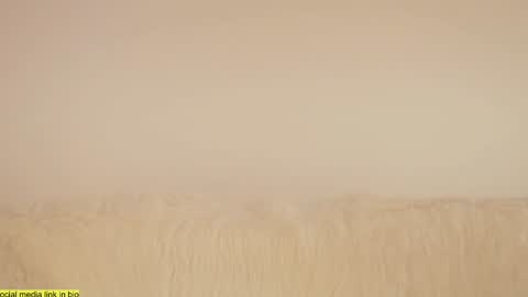 wild_schoolgirl online show from 01/18/25, 09:45