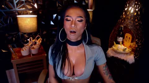 wildara online show from 01/17/25, 10:33