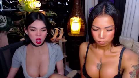 wildara online show from 11/25/25, 11:27