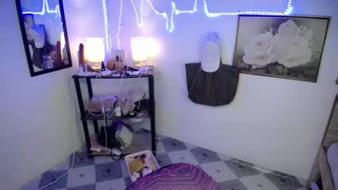 Snapshot of wildflowermitch chatting on 12/14/25, 07:07 Mitch online show from 12/14/25, 07:07