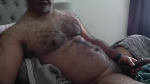 wildhungry online show from 11/17/25, 05:52