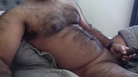 wildhungry online show from 12/01/25, 06:57