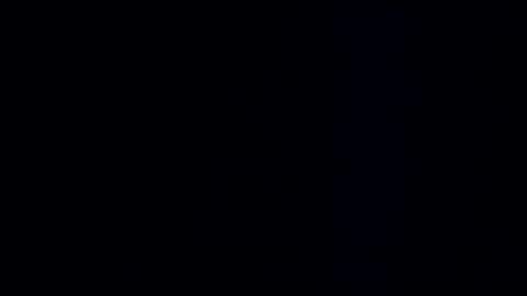 wildman3845 online show from 12/08/24, 11:24