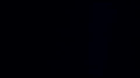 wildman3845 online show from 12/15/24, 11:23