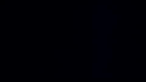 wildman3845 online show from 12/22/24, 12:27