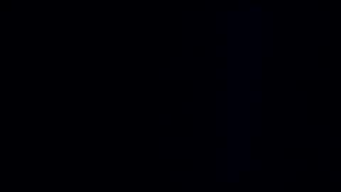 wildman3845 online show from 12/29/24, 01:17