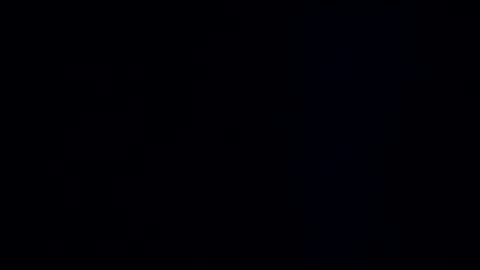 wildman3845 online show from 12/30/24, 11:59