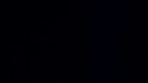 wildman3845 online show from 01/03/25, 12:41