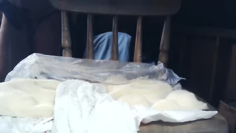 wildman6 online show from 01/26/25, 08:34