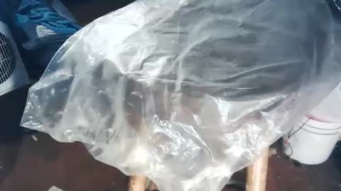 wildman6 online show from 11/02/25, 08:44