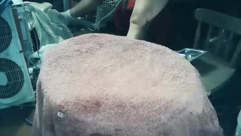 wildman6 online show from 03/27/26, 07:46