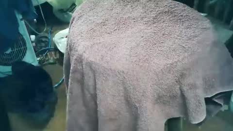 wildman6 online show from 03/28/26, 09:58