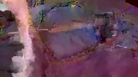 bobby banks online show from 02/20/26, 05:02