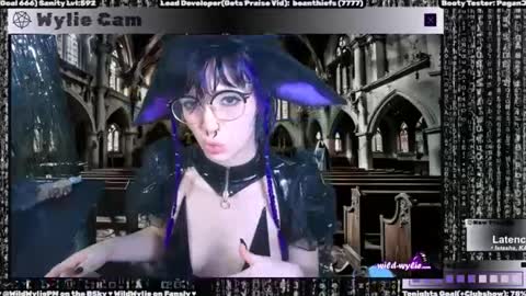 Snapshot of wildwylie chatting on 01/31/25, 03:20 Wylie Wanderlust online show from 01/31/25, 03:20