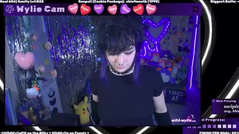 Snapshot of wildwylie chatting on 02/28/25, 02:53 Wylie Wanderlust online show from 02/28/25, 02:53