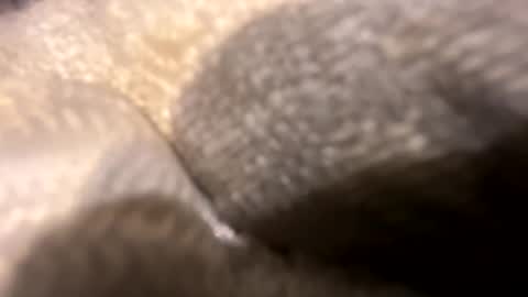 Snapshot of wiley0520 chatting on 10/27/25, 11:36 wiley0520 online show from 10/27/25, 11:36