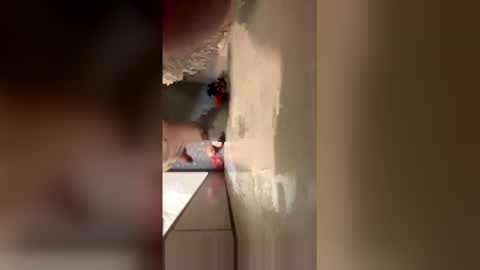 williamcody653 online show from 02/15/26, 06:21