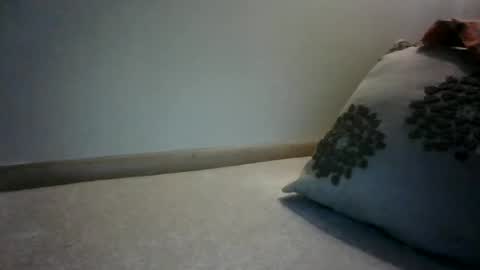 Willhedoher online show from 02/13/25, 01:48