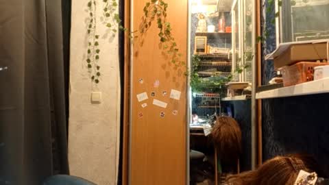 Phoebe online show from 02/11/26, 08:47