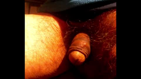 willstrok online show from 01/22/25, 04:55