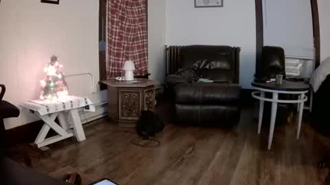 willydogg83 online show from 12/16/25, 06:07