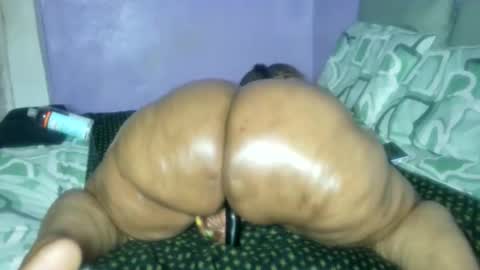 wilmaassylum online show from 02/26/26, 06:34