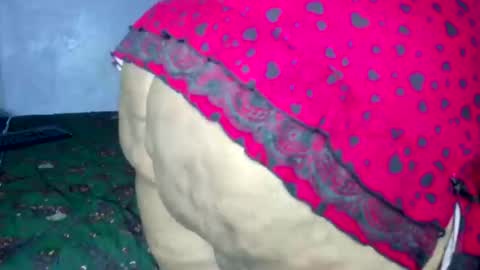 wilmaassylum online show from 03/04/26, 06:41