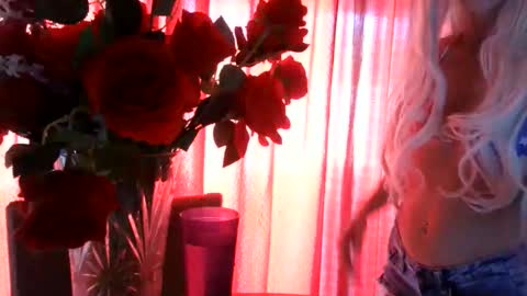 WishGoddes online show from 05/25/26, 10:49
