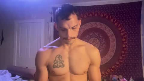 Wolfblazer online show from 01/28/25, 11:17