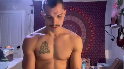 Wolfblazer online show from 02/02/25, 10:24